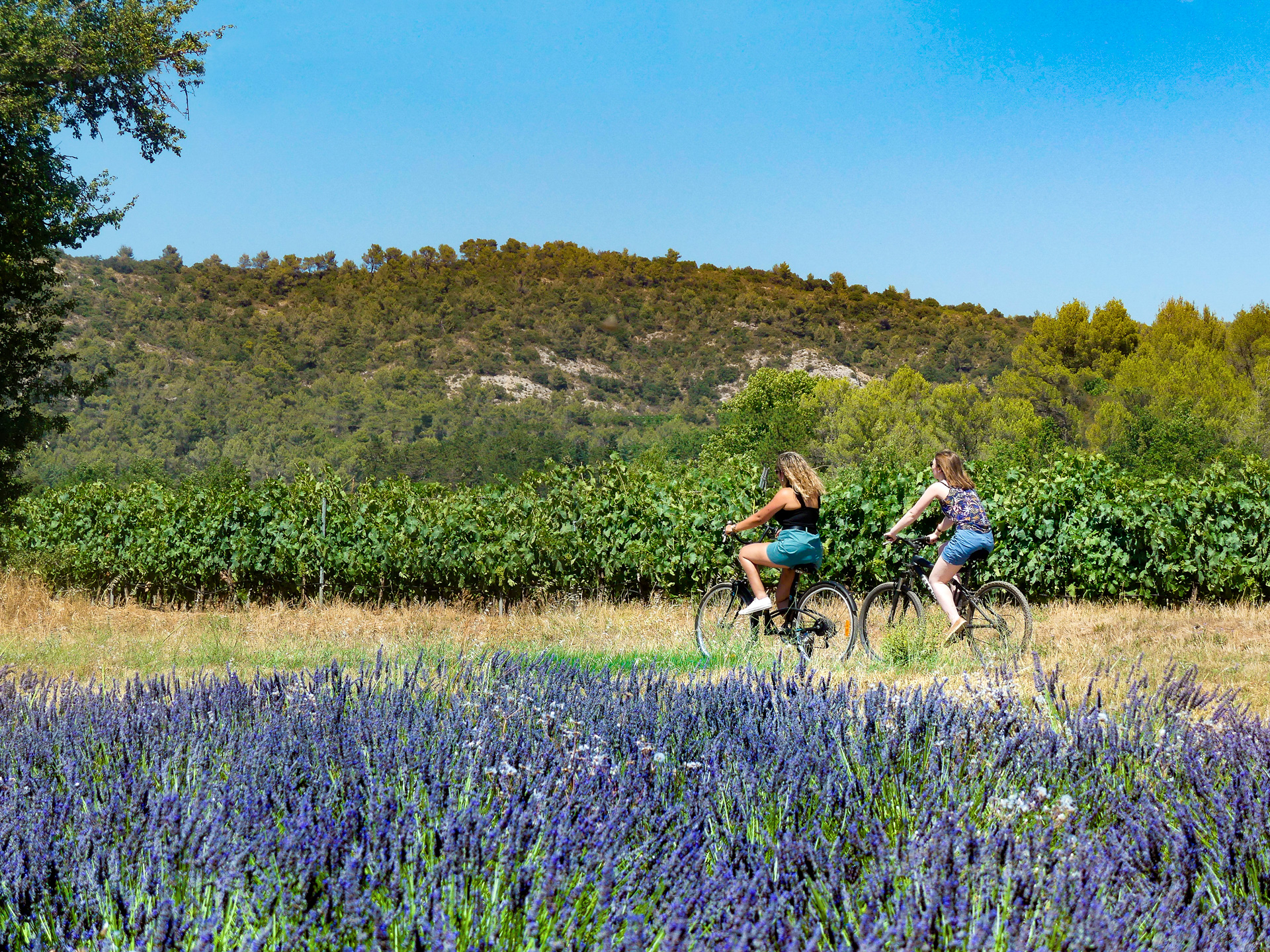 Fascinant week-end 2023 Provence Verte et Verdon